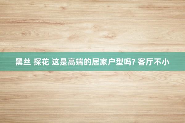 黑丝 探花 这是高端的居家户型吗? 客厅不小