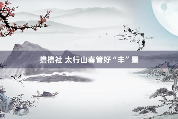 撸撸社 太行山春管好“丰”景