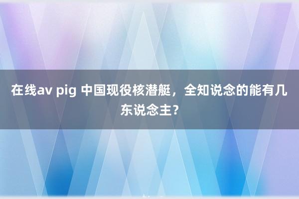 在线av pig 中国现役核潜艇，全知说念的能有几东说念主？