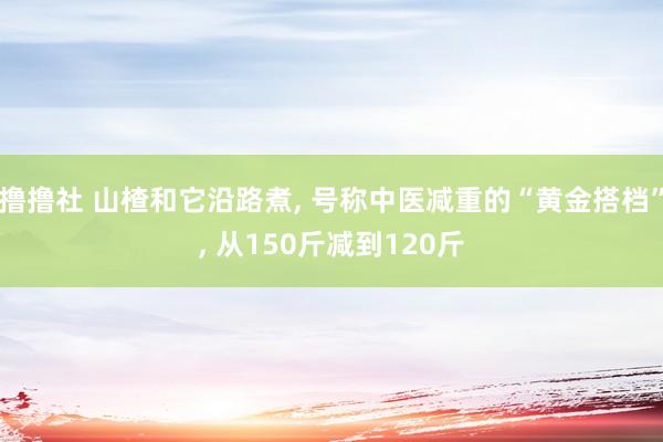 撸撸社 山楂和它沿路煮, 号称中医减重的“黄金搭档”, 从150斤减到120斤