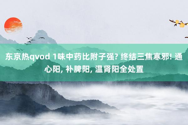东京热qvod 1味中药比附子强? 终结三焦寒邪! 通心阳, 补脾阳, 温肾阳全处置