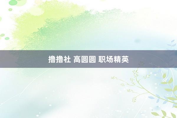 撸撸社 高圆圆 职场精英