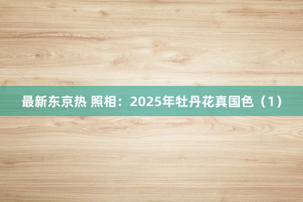 最新东京热 照相：2025年牡丹花真国色（1）