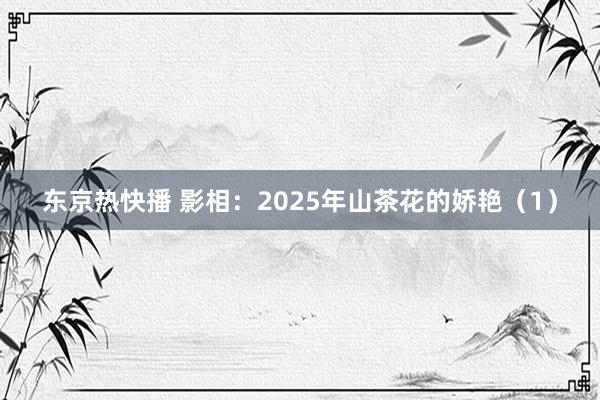 东京热快播 影相：2025年山茶花的娇艳（1）