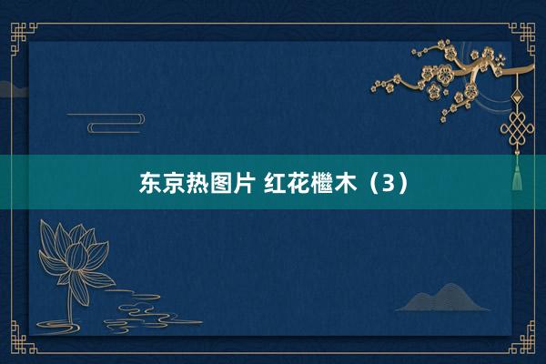东京热图片 红花檵木（3）
