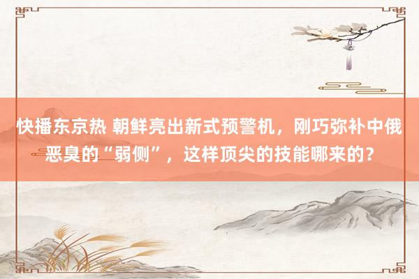 快播东京热 朝鲜亮出新式预警机，刚巧弥补中俄恶臭的“弱侧”，这样顶尖的技能哪来的？